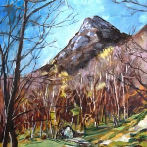 Ben A'an Clearing
