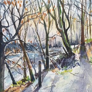 Calderglen Walk