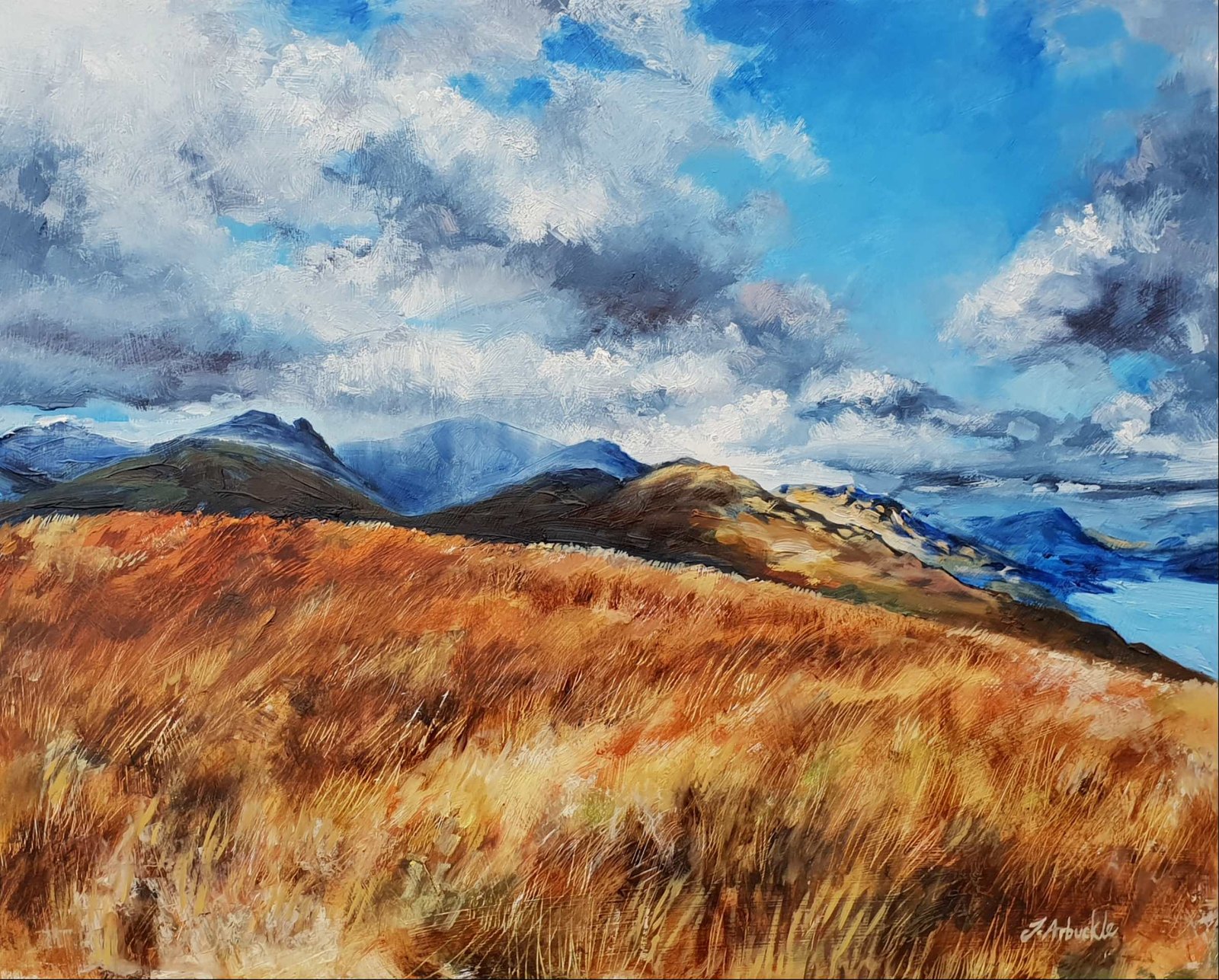 Rain over Arrochar
